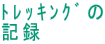 �گ�ݸނ�
�L�^
