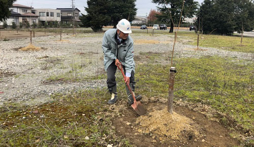 桜の木一万本植樹②