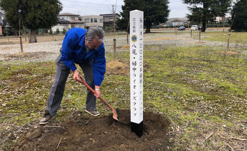 桜の木一万本植樹③