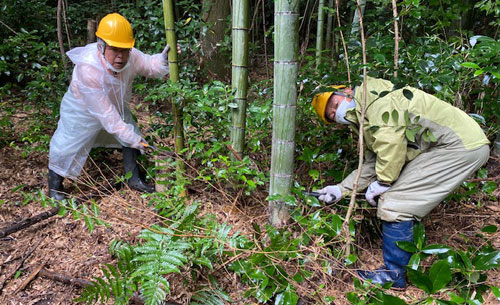 光と風の通り道整備事業②